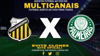 Assistir Novorizontino x Palmeiras Ao Vivo Online 03/11/2024