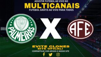 Assistir Palmeiras X Ferroviária Ao Vivo Online 02/11/2024