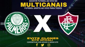 Assistir Palmeiras x Fluminense Ao Vivo Online 01/11/2024